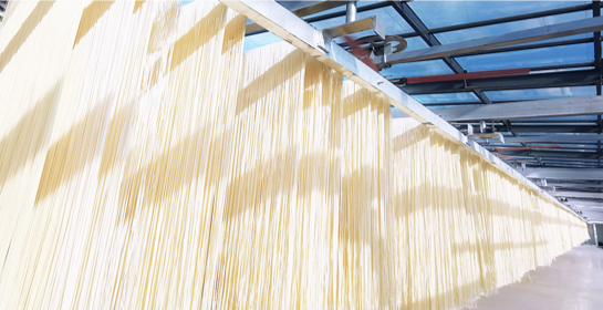 见证奥运冠军摇篮:白象挂面参访国家体育总局训练局 见证奥运冠军摇篮:白象挂面参访国家体育总局训练局